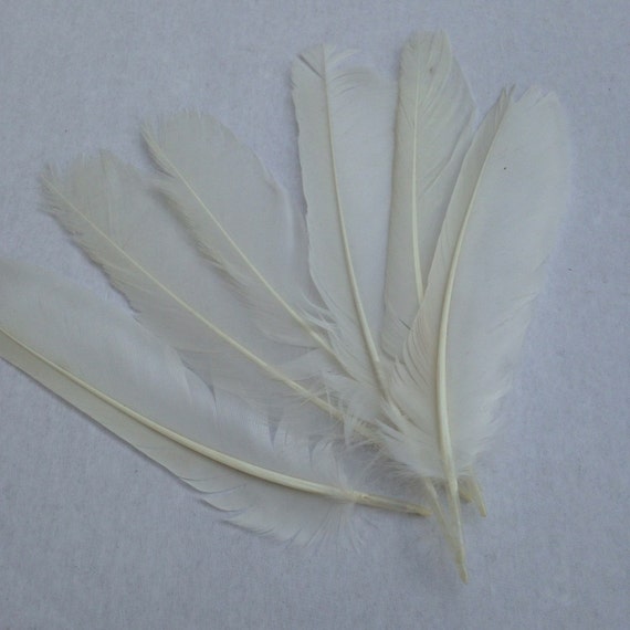 Items similar to Set Of 6 White Osprey Feathers on Etsy