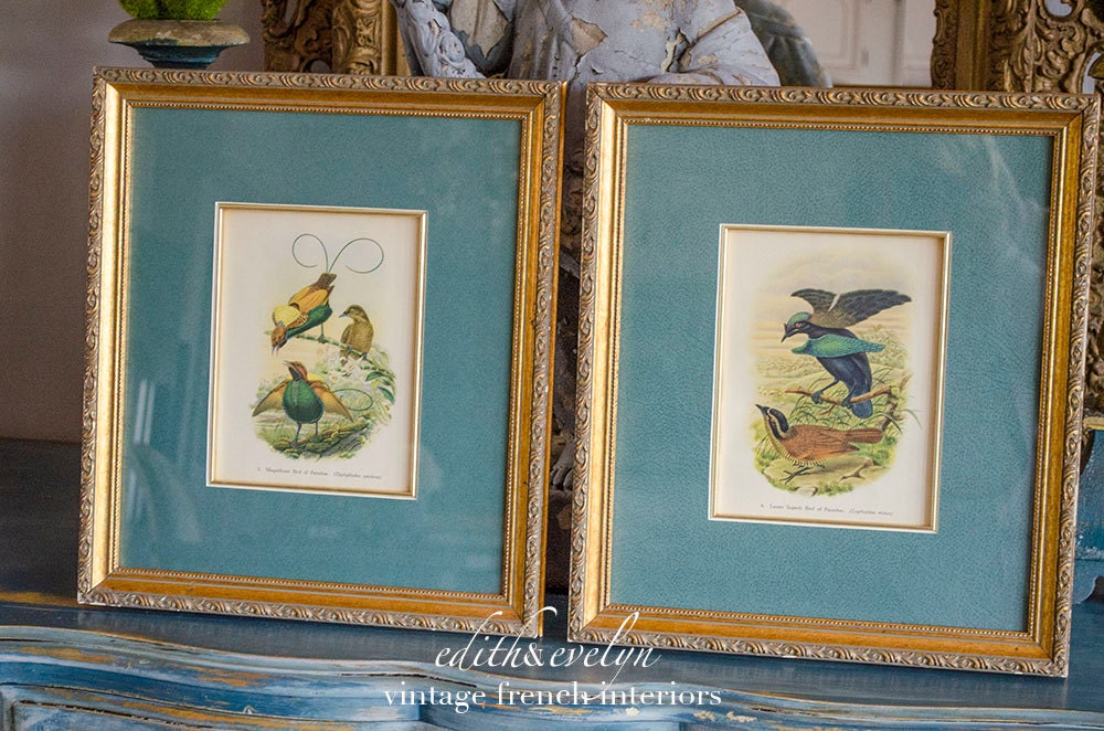 Vintage Audubon Prints Pair Framed