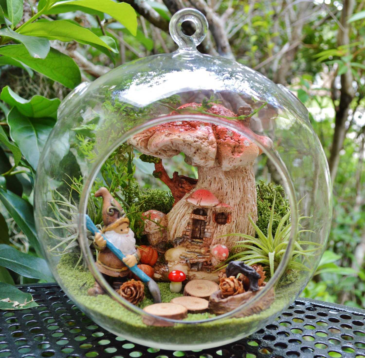 Forest Gnome Terrarium Kit Mushroom House 2 Air plants 2