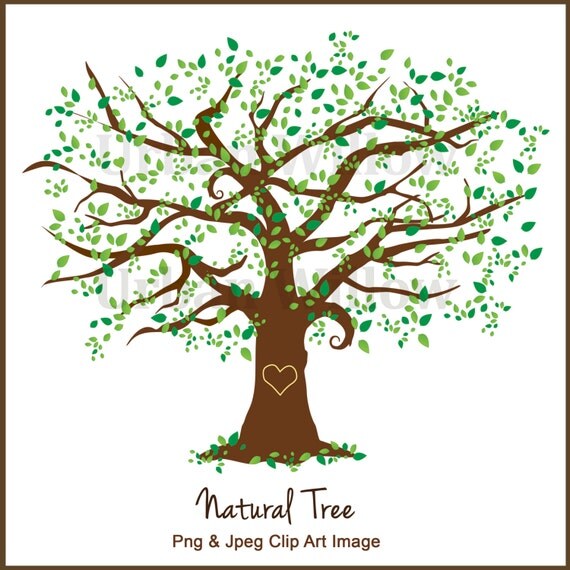 free clipart elm tree - photo #17