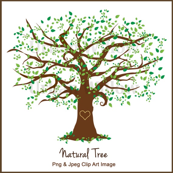 free clipart elm tree - photo #17