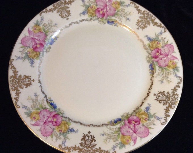 Vintage Rosenthal China Dinner Plate With Orchids, Selb-Germany US Zone, Circa 1908-1953, Winifred 10 Inch Plate with Orchids and Scrolls