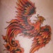 Irish Phoenix