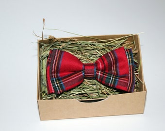 Bow tie, Red bow tie, Striped bow tie, Bow tie for men, Mens bow tie, Bow tie for boys, Rustic bow tie, Wedding bow tie, Party bow tie
