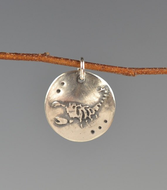 Scorpion Totemtalismancharmamulet by AquillaVermont on Etsy