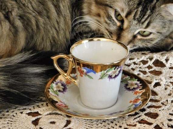 Vintage Bavaria Germany Demitasse Floral Boarder Gold Gilt Tea Chocolate Cup Saucer Set 1950s 50s Mid Century Cottage Chic Schumann Arzberg
