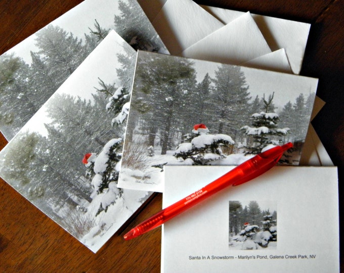 HOLIDAY NOTE CARDS created from photography of Pam Ponsart; 4-piece sets; printed on heavy card stock