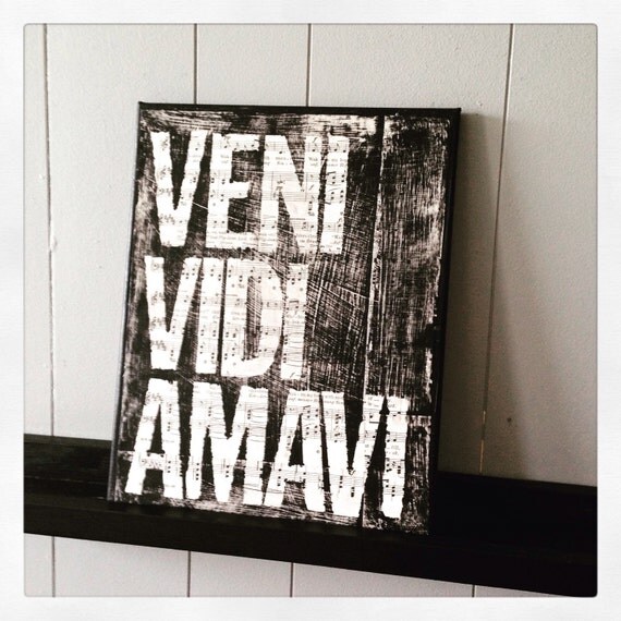 veni vidi amavi veni vidi amavi