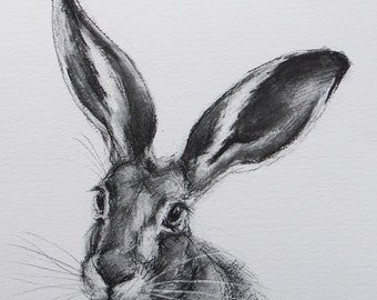 ORIGINAL A4 Pencil Wildlife Animal Drawing of by BelindaElliottArt