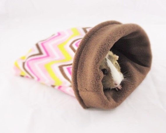 snuggle safe for guinea pigs