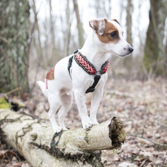 Adjustable Paracord Dog Harness Fleece Padded by HappyPooch