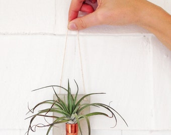 Copper + Concrete Air Plant Holder | Air Plant Wall Holder | Copper | Air Plant | Planter | Air Plant Holder