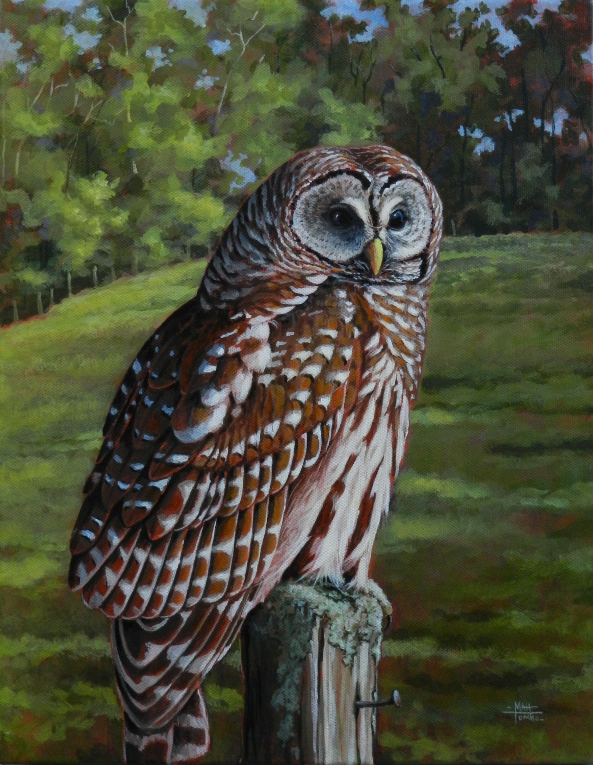 Owl Fine Art Print Discovery of Wisdom // gift