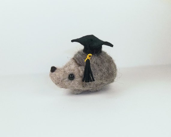 graduation hedgehog plush