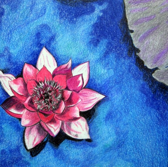 Lotus Flower Pencil color Original on Paper Size 7.5x 11.5