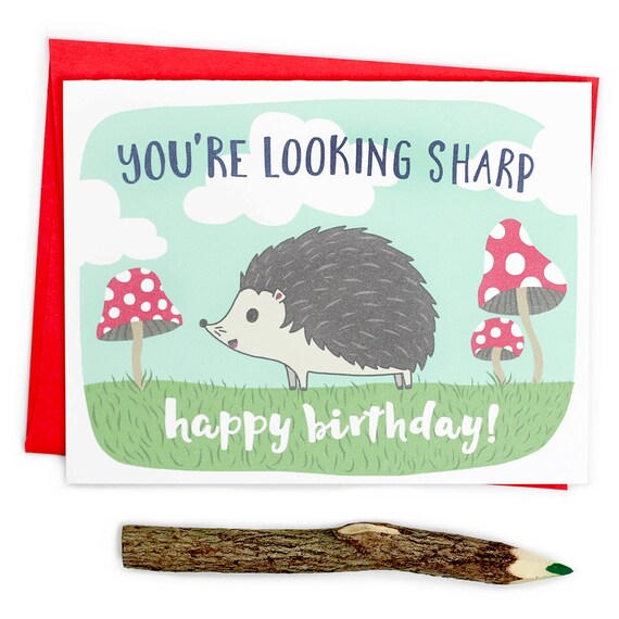 Funny Birthday Card You're Looking Sharp Hedgehog by TurtlesSoup