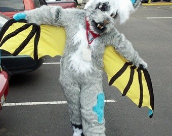 Fursuit Commissions 650