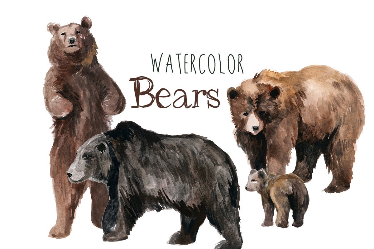 Watercolor Bears Bear Clip Art Forest Clipart Bears