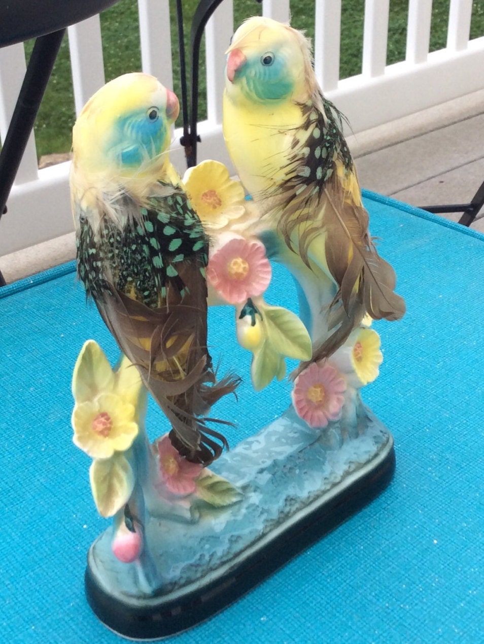 Do love birds have to be in pairs image