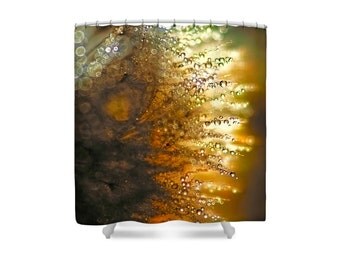 Gold Shower Curtain, Gold Bathroom Decor, Flower Bathroom, Dandelion, Macro Photography, Raindrops, Water Drops, Rain Drops, Brown Bathroom