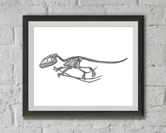 dinosaur fossil print