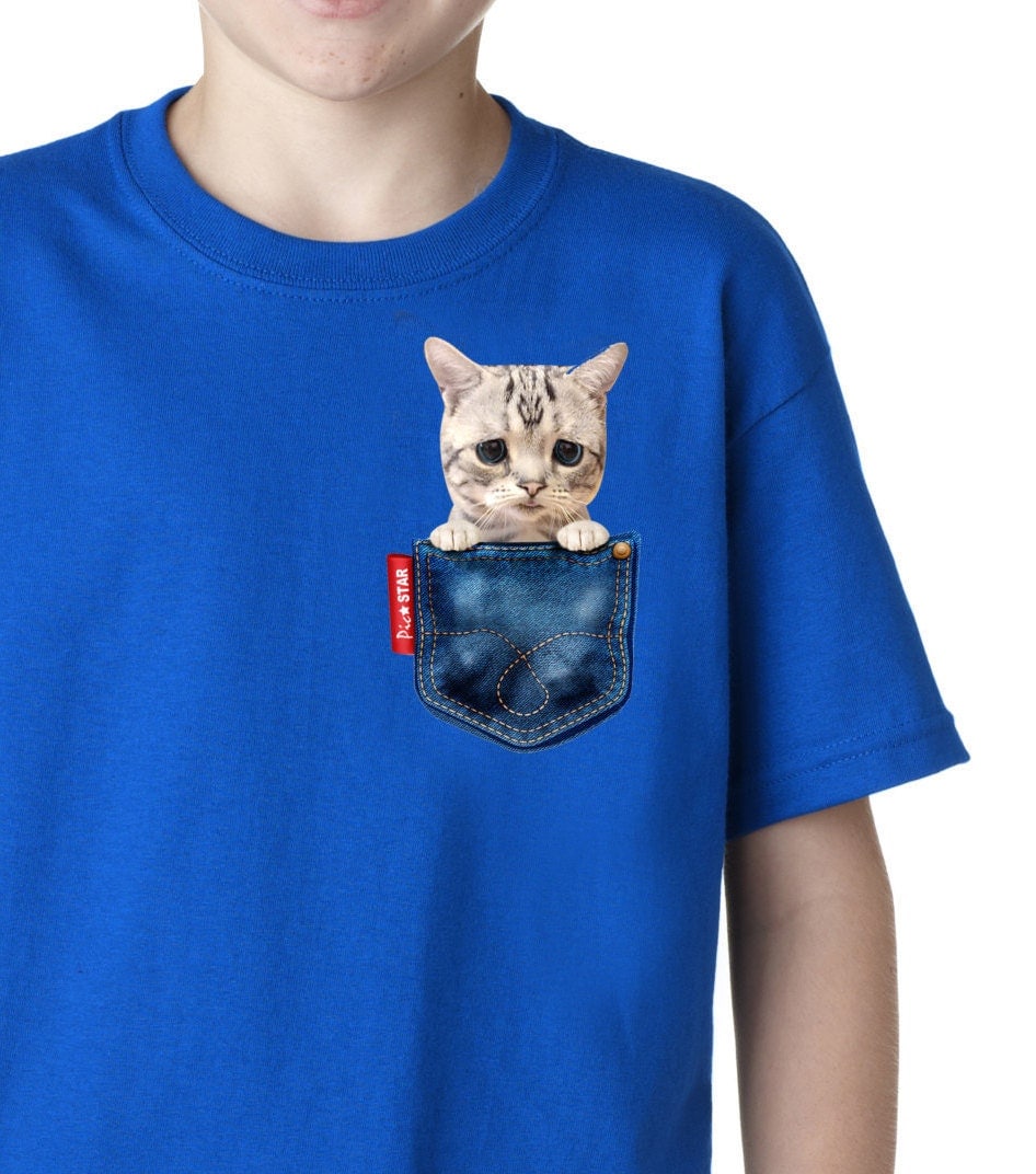 Pet Exotic Shorthair cat in a jean pocket t-shirts cute cat