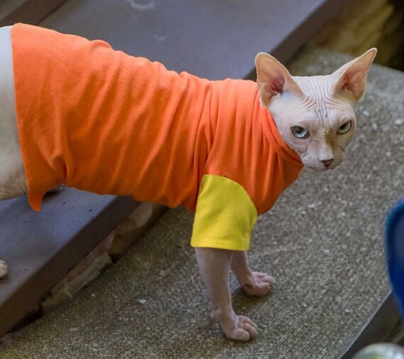Sale Orange Sphynx Cat Clothes choose sleeve color. Custom