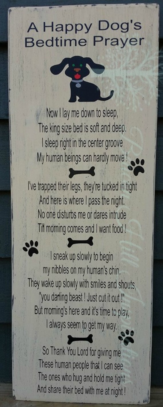 A Happy's Dog's Bedtime Prayer