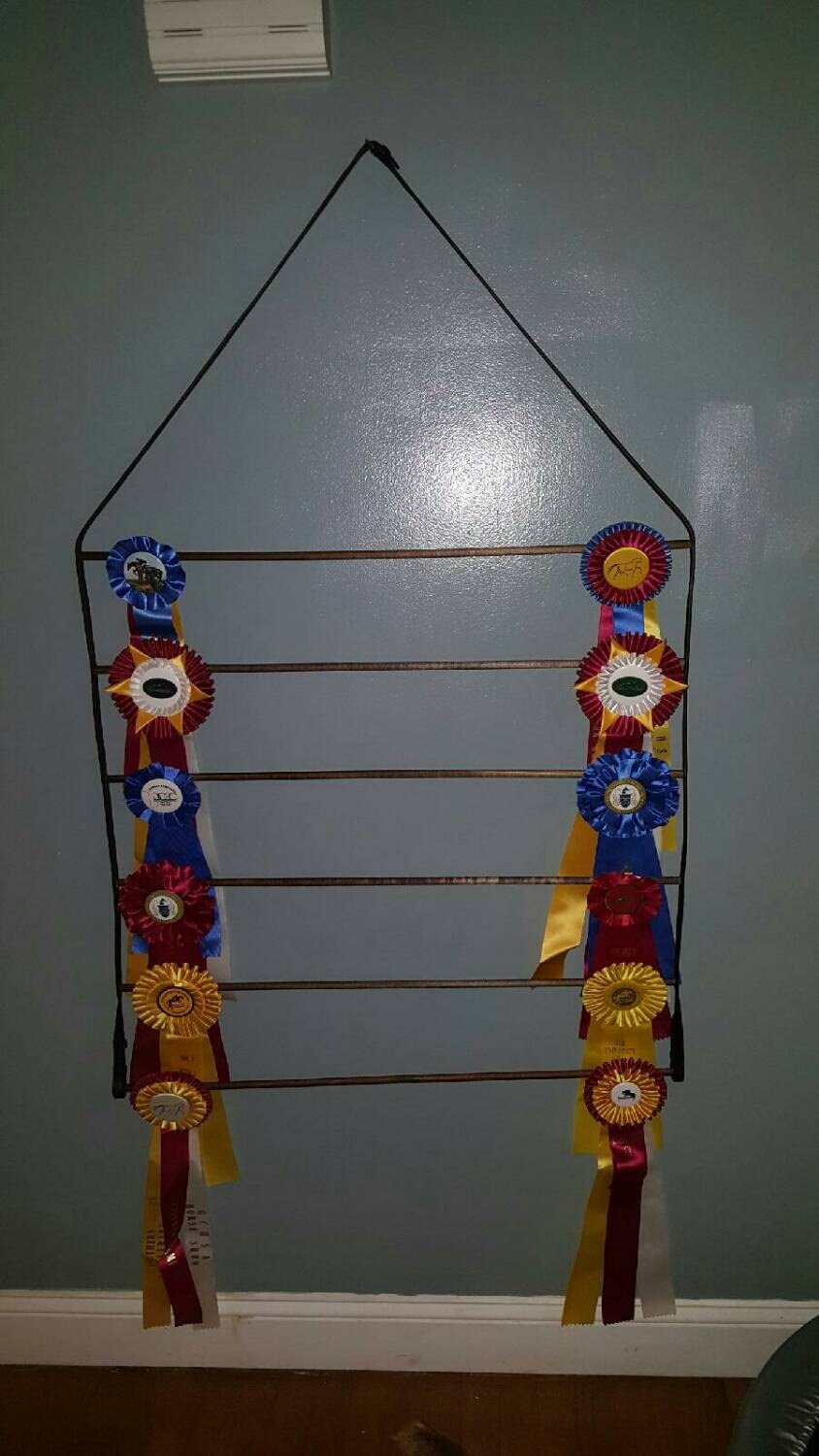 Horse Show Equestrian Ribbon Holder Display Rack Made with