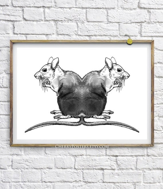 Black Rats Watercolor Print Home decor wall art rats