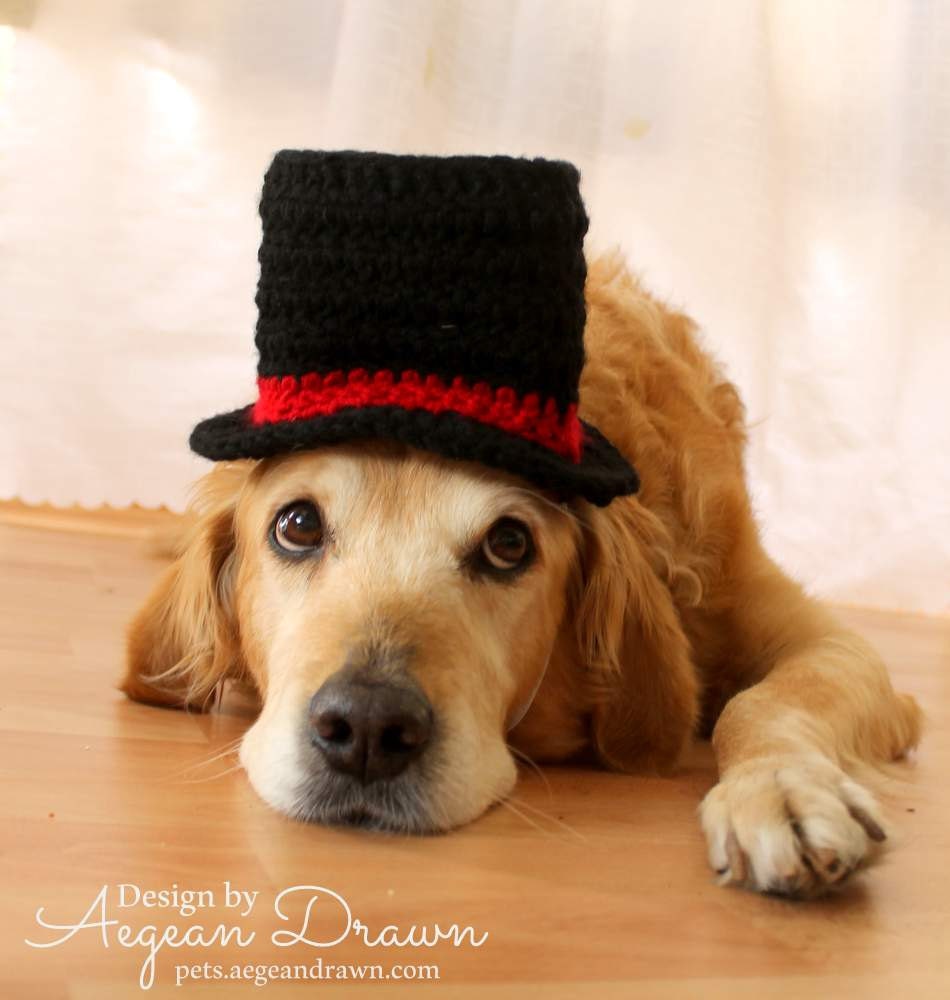 Top Hat for Dogs Dog Costume Wedding Dog Attire Dog Formal