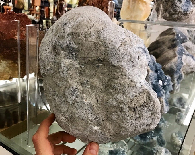 Large Celestite Geode- All Natural Geode from Madagascar- Cut Open Celestine Geode 41 Pound Christmas Gift \ Crystal Healing \ Blue \ Chakra