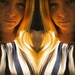 Andee Niccole