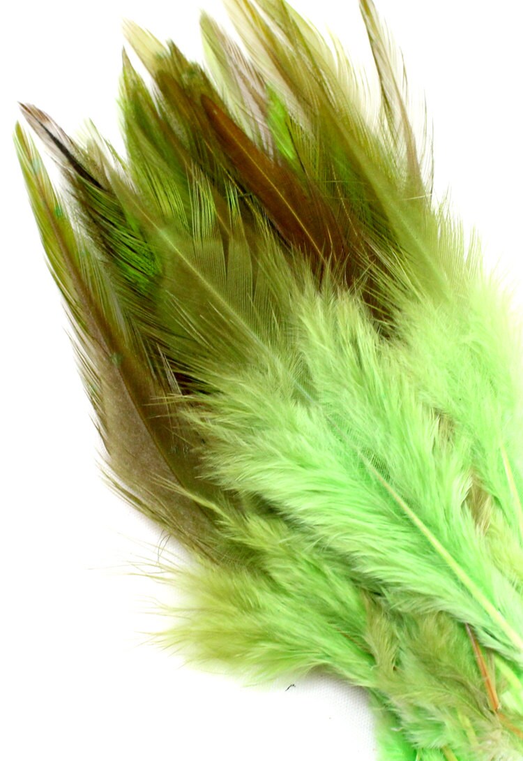 35 Inch Lime Green Feather 10 Green Bird Feathers for