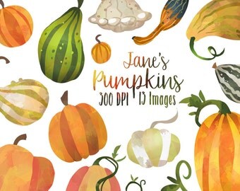 Watercolor Pumpkins Clipart - Fall Pumpkin Clipart - Instant Download - Faux Watercolor Fall Pumpkins and Gourds