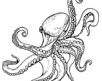 Octopus coloring | Etsy