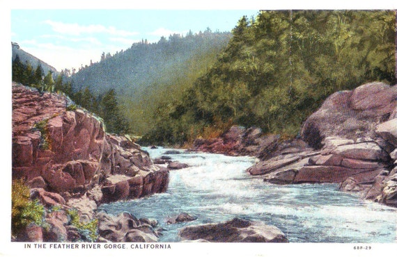 Vintage Postcard ~ in the Feather River Gorge California ~ Feather River Canyon ~ Historic California ~ California epherma ~