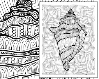 Download dolphin coloring page adult coloring sheet nautical