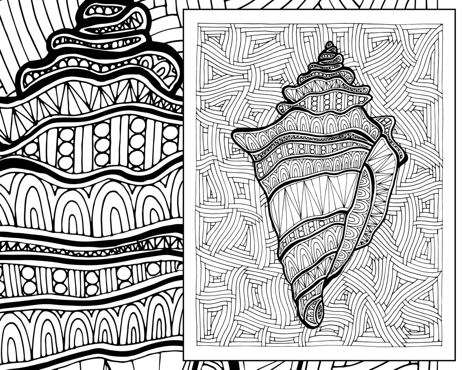 zentangle shell adult coloring page adult coloring sheet