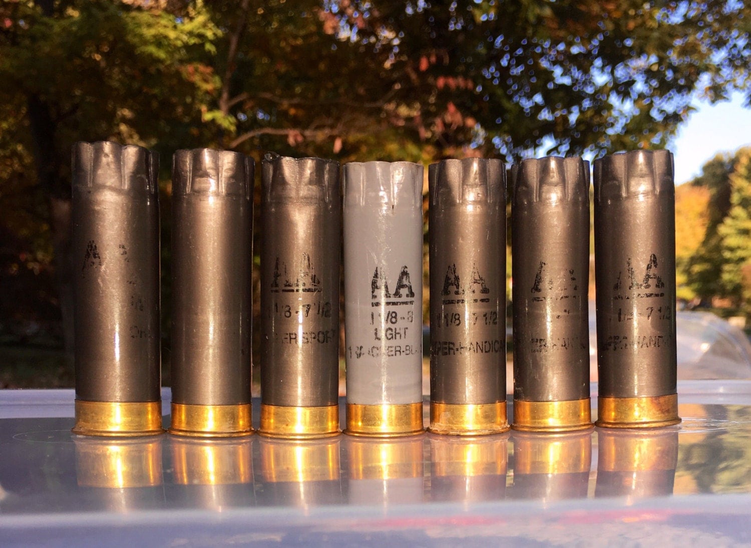 Gray Winchester AA 12ga Shotgun Shells