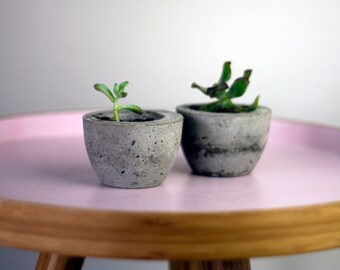 Set of Two Mini Concrete Planters