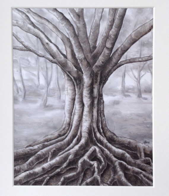 Oak Tree Drawn in Charcoal on Mylar 8x10 Inches in 11x14