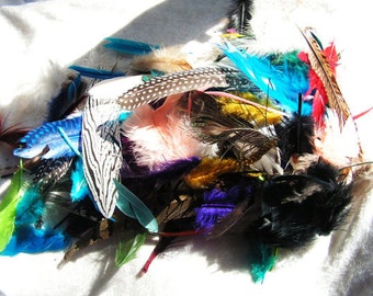 Costume supply, Grab Bag, Feather mix, Mixed feather lot, Random assortment, Surprise bag!