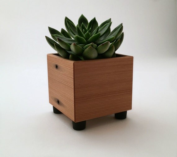 Succulent Planter Pot Rustic Planter Reclaimed Wood Mini