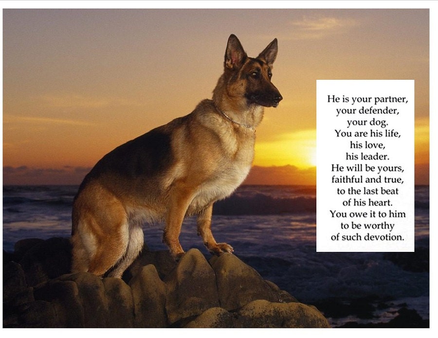 GERMAN SHEPHERD Dog With Poem on 16 inch Square Fabric ...