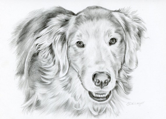 Custom Pencil Drawing size 5 x 7 Custom Pet by 