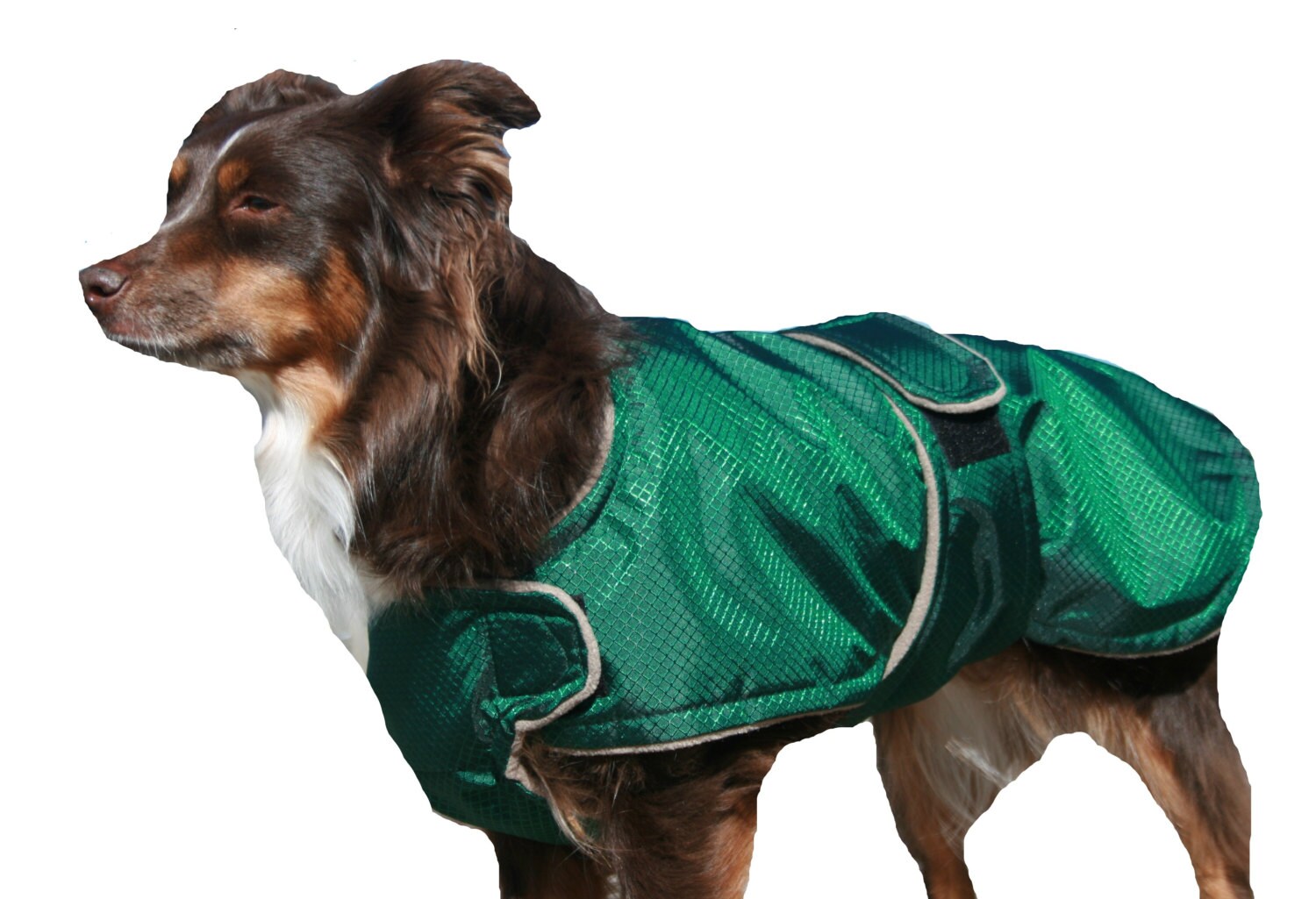 Winter Dog Coat tough diamond ripstop custom made with by madebyde