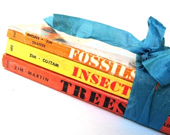 Fossils, Trees, Insects Golden Guide Book Set, Vintage Guide Books, Golden Guide Book Lot, Vintage Entomology Book, Vintage Fossil Book