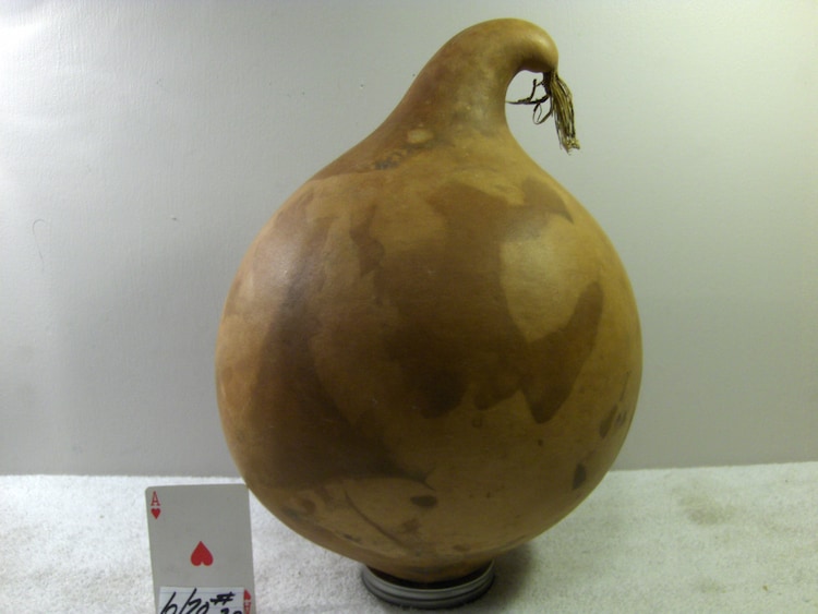 32 Around Bushel Basket Gourd Excellent Quality by midmowoodworks