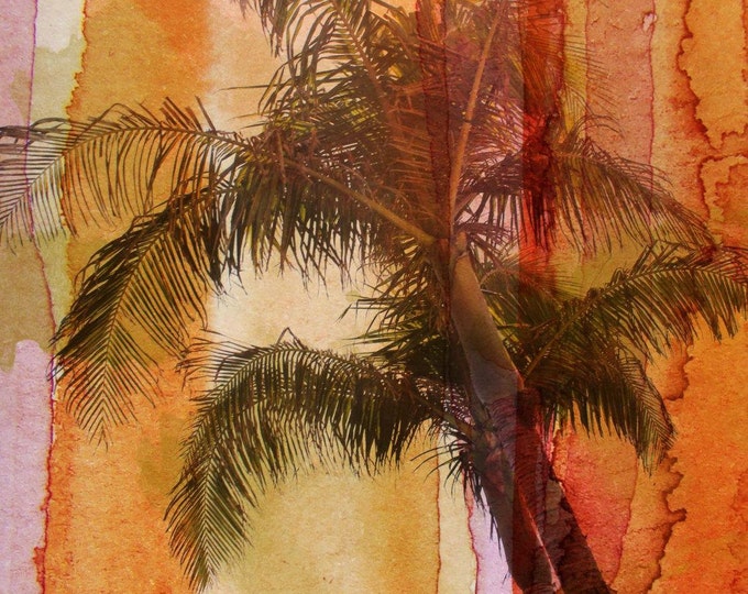 Palm Tree. Canvas Print by Irena Orlov 40x30"